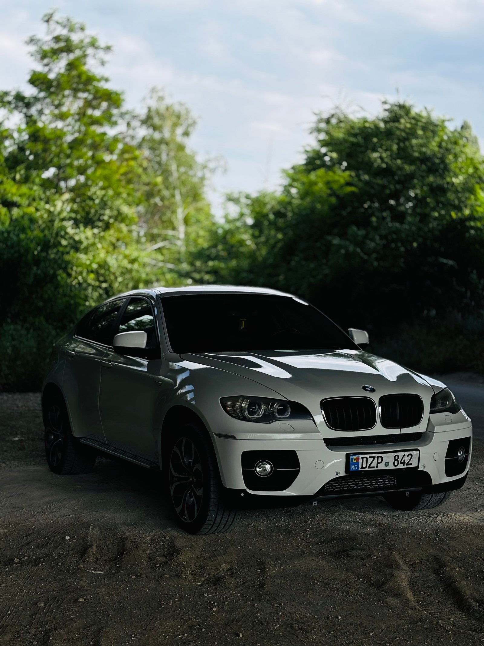 BMW X6 (2010) – 3.0 Diesel Automat, 218 CP 2